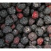 Саженец малины Блэк Джевел (Black Jewel) (Черная): фото и описание