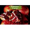 Саженцы Граната Восточного - 5 шт.: фото и описание